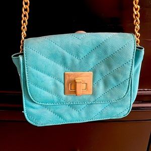 BCBG Purse